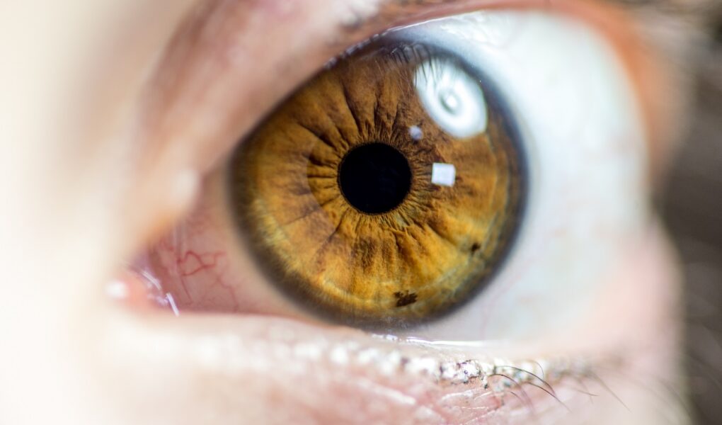 dziedziczenie koloru oczu