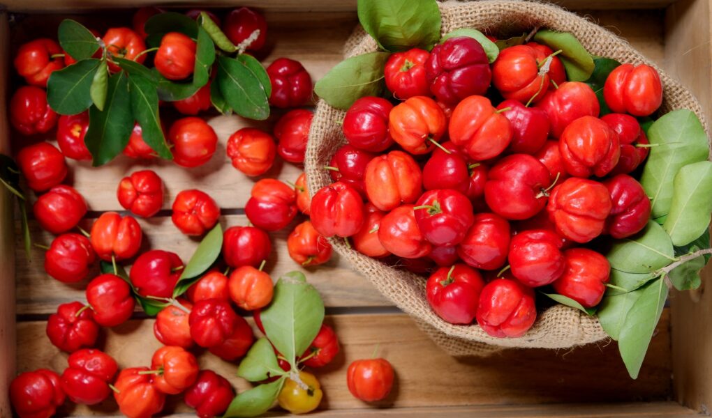 acerola