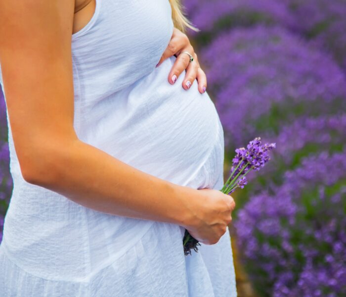 lawenda w ciąży