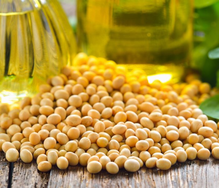 soja - olej i nasiona